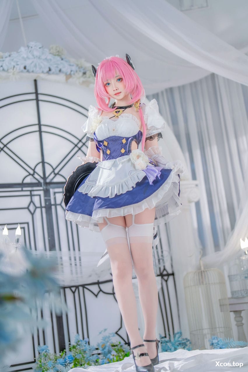 大大卷卷小卷 - 崩坏3 爱莉希雅女仆 [29P-170MB]