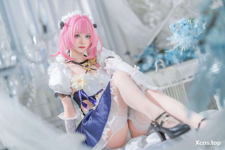 大大卷卷小卷 - 崩坏3 爱莉希雅女仆 [29P-170MB]