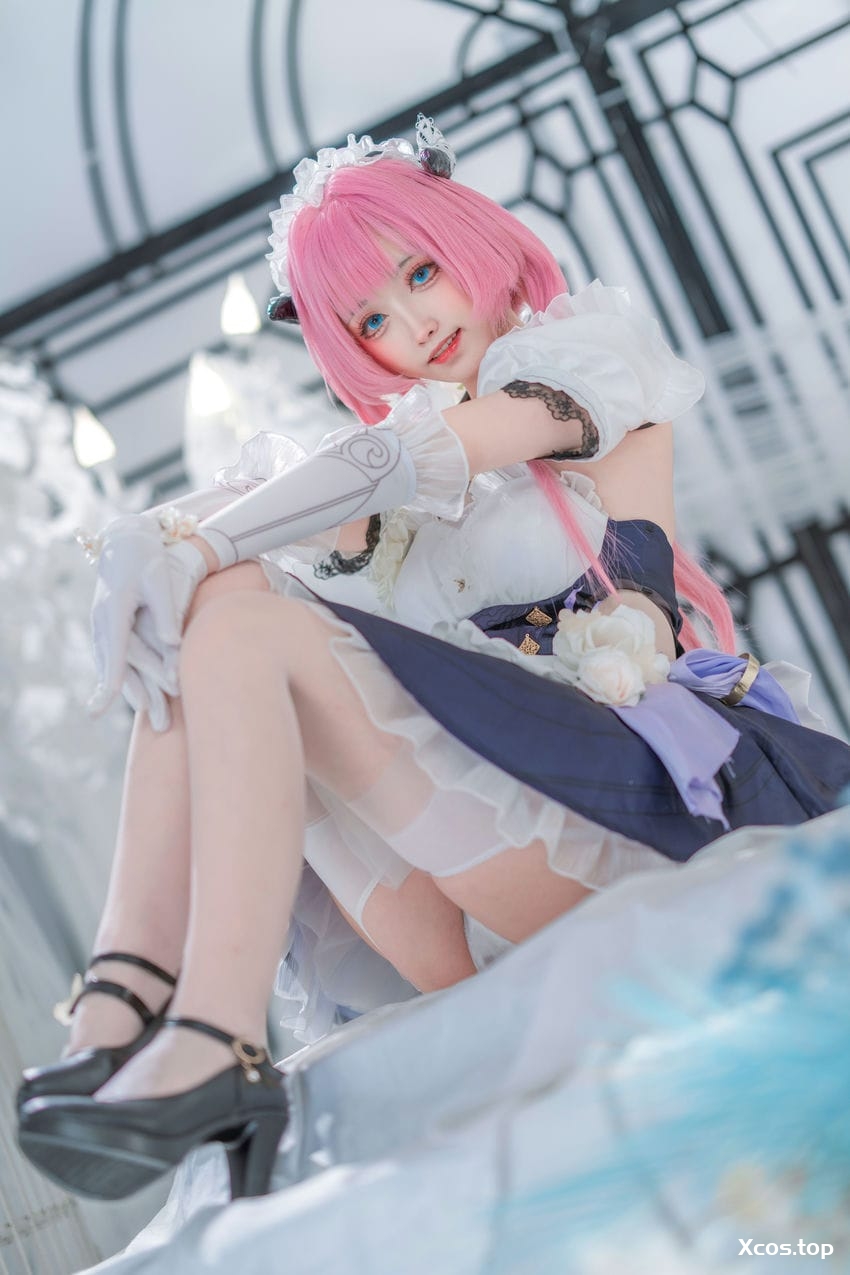 大大卷卷小卷 - 崩坏3 爱莉希雅女仆 [29P-170MB]