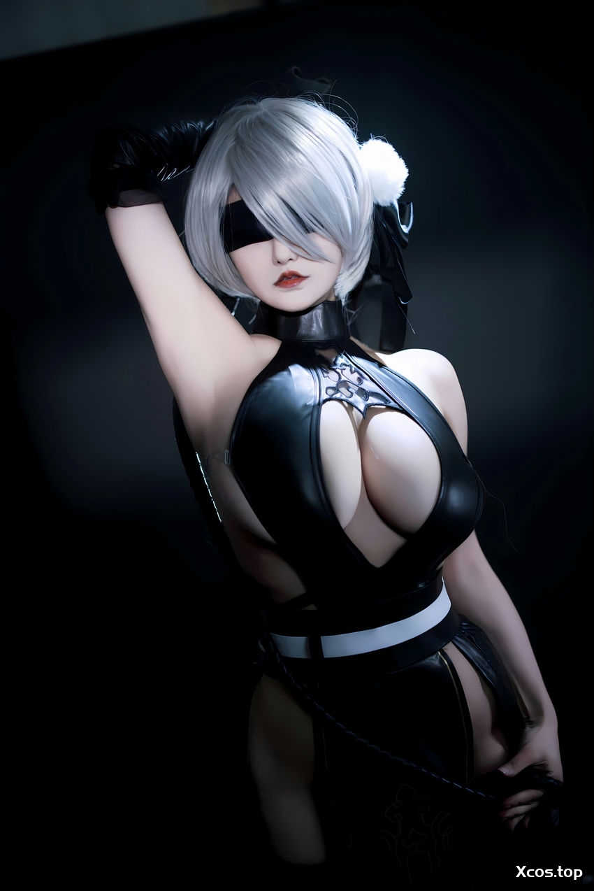 [专享] 古阿扎 - 尼尔 寄叶2号B型 [53P-191MB]