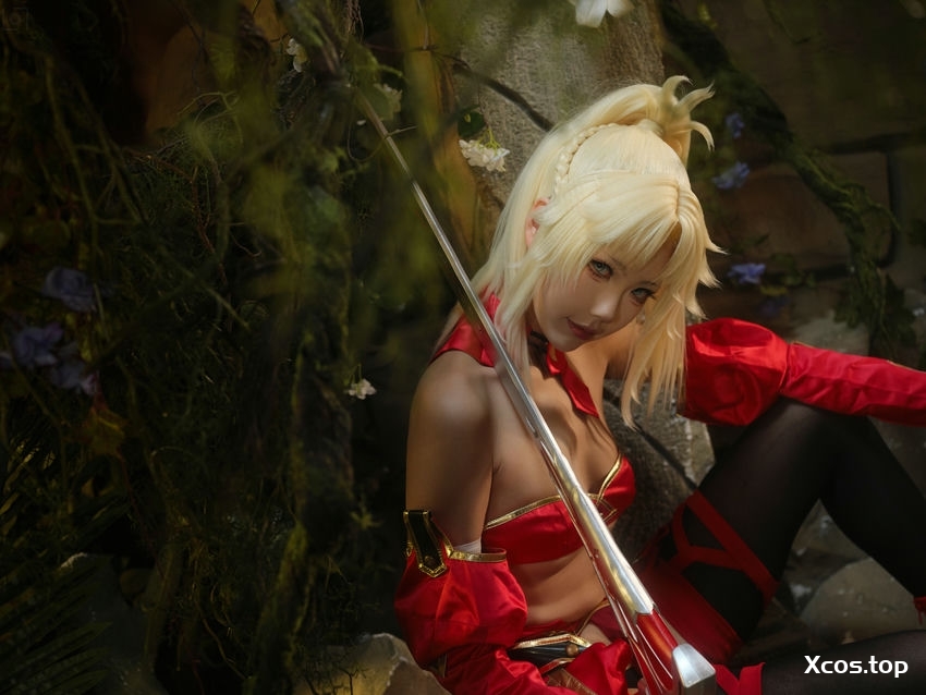 湖里狸 - 莫德雷德 [30P-242MB]