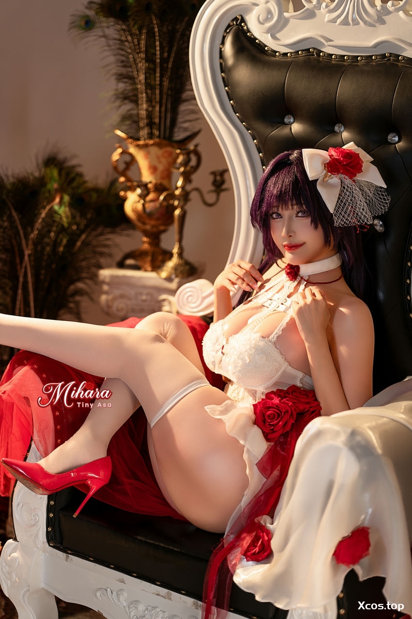 [专享] Tiny Asa アサ - Mihara Pain Eater - NIKKE [79P+1V-3.34G]