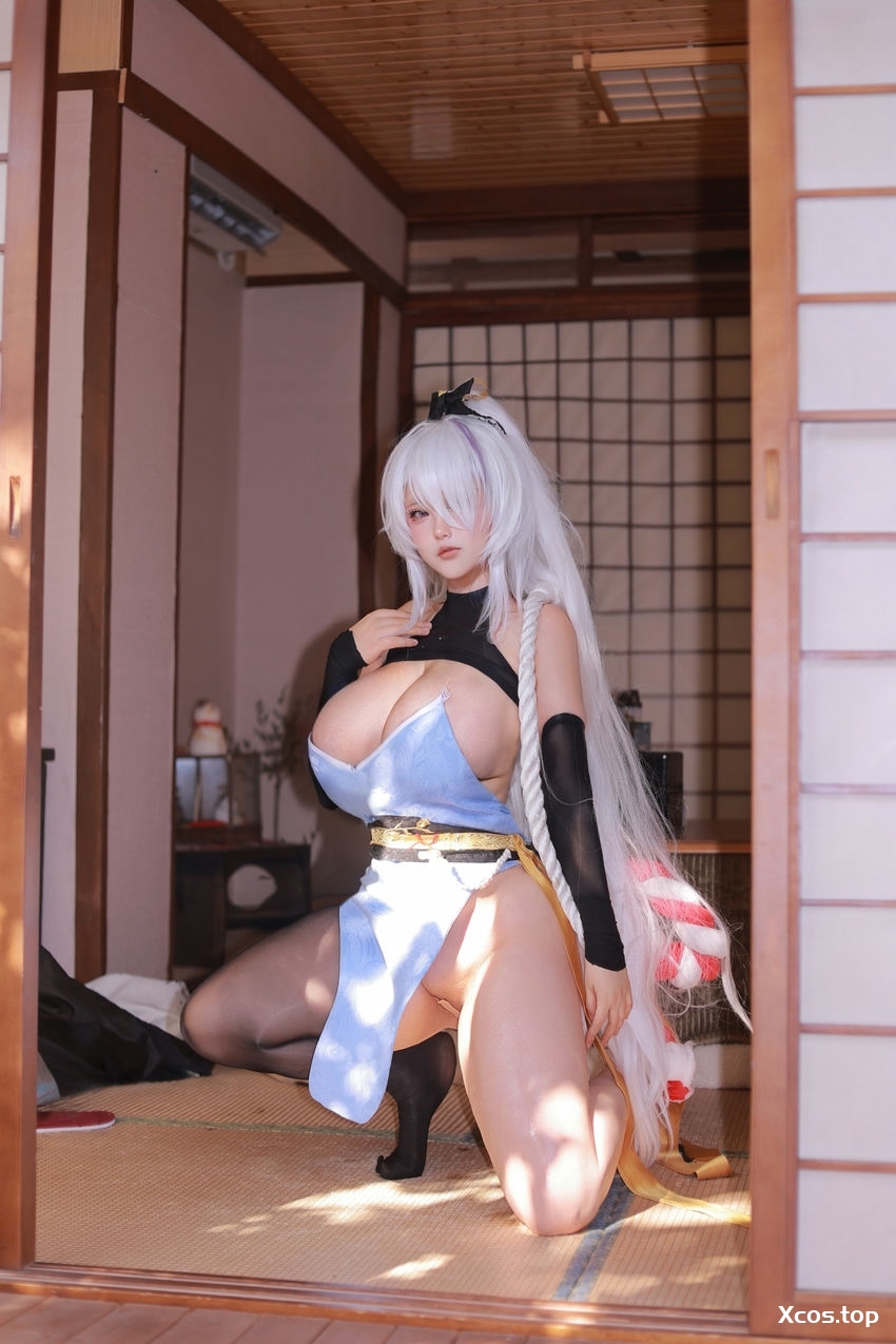芝士蛋奶烧 - 碧蓝航线 云仙 旗袍 [300P+5V-545MB]