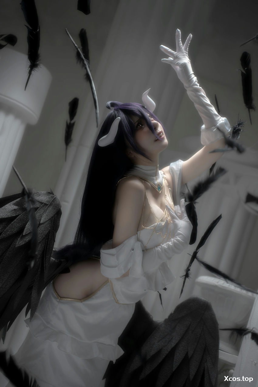 纸悦Etsu_ko - Overlord 雅儿贝德 [14P-75M]