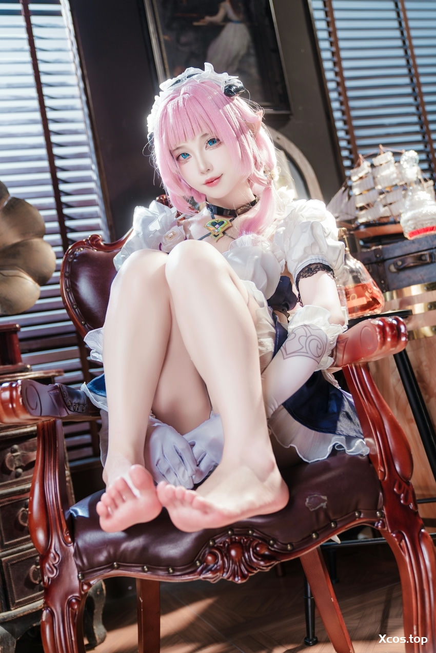 [专享] 狐玖玖 - 爱莉希雅女仆 [23P-517M]