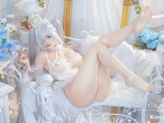 <span style='color:red;font-size:16px;'>[专享]</span> Byoru NO.276 Cinderella [63P+21V-1.85G]