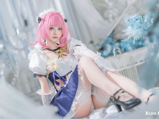 大大卷卷小卷 – 崩坏3 爱莉希雅女仆 [29P-170MB]