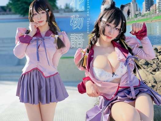 <span style='color:red;font-size:16px;'>[专享]</span> 沙福林 NO.406 化物语 羽川翼 [43P+5V-255MB]