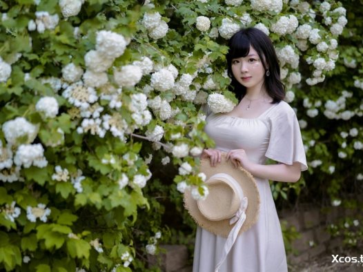 皮皮奶 NO.072 绣球花 [36P-661MB]