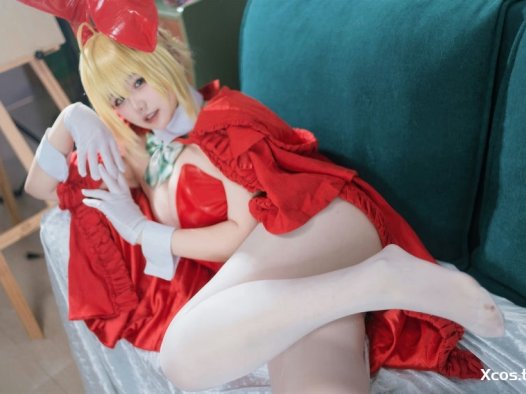 阿半今天很开心 – Fate 圣诞节 尼禄 [71P-1.01GB]